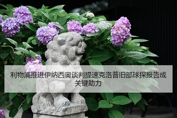 利物浦推进伊纳西奥谈判提速克洛普旧部球探报告成关键助力
